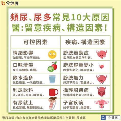 經常想去廁所|男性、女性頻尿原因總整理！頻尿定義、4建議飲食、4改善方法一。